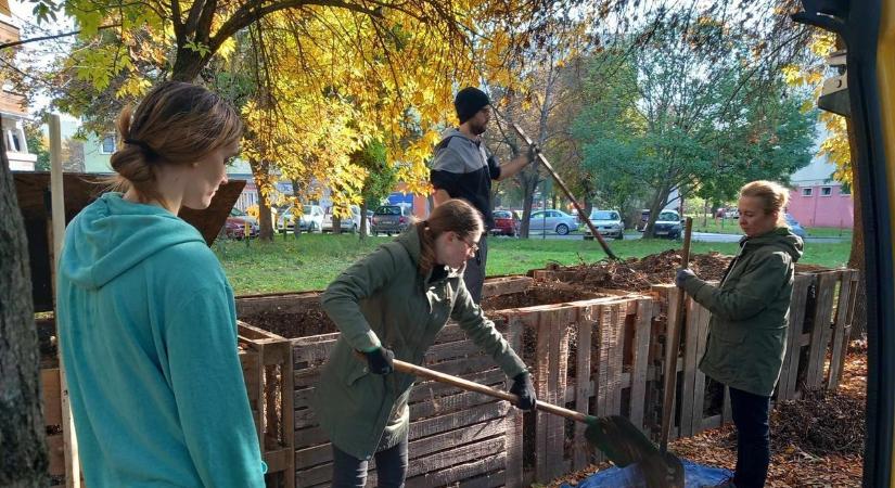 A medvék jósoltak, a komposztálók cselekszenek: közösségi program készül Szegeden