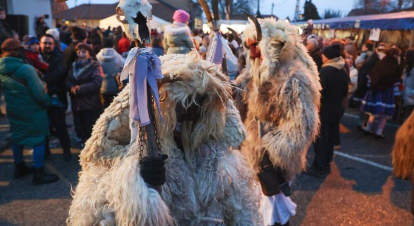 Mohácsi busójárás: így a legegyszerűbb az odajutás