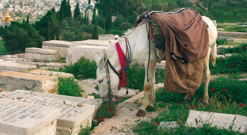 Izrael temetkezési gyakorlata fenntarthatatlanná válhat a népesség elöregedése miatt