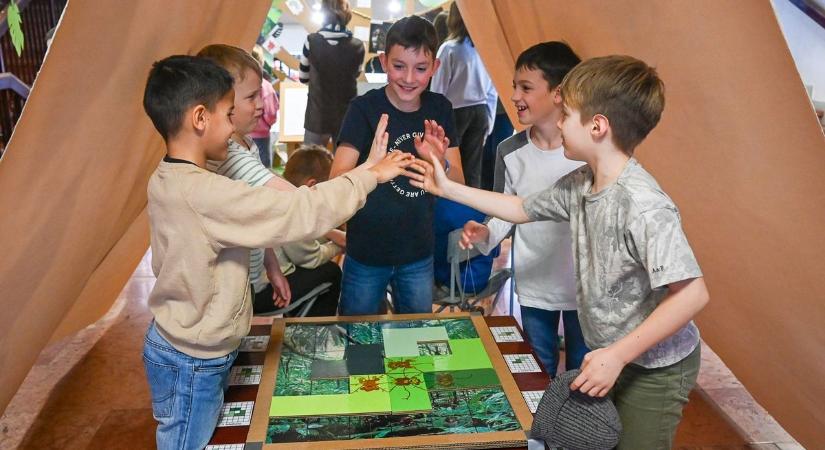 Csimpánzhuhogással üzentek Jane Goodallnak – a dzsungelt idézi a látványos galériakiállítás a Bolyaiban