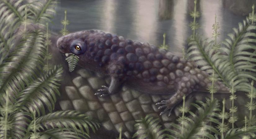 Ez a furcsa lény lehetett a világ egyik első növényevője