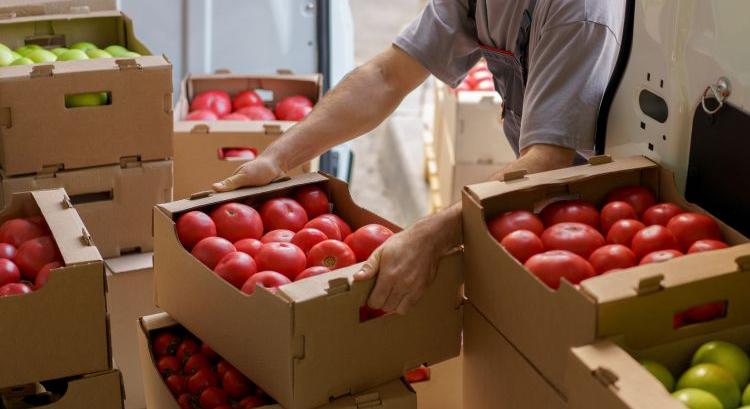 Ukrán paradicsomexport: fordult a piac Moldovánál