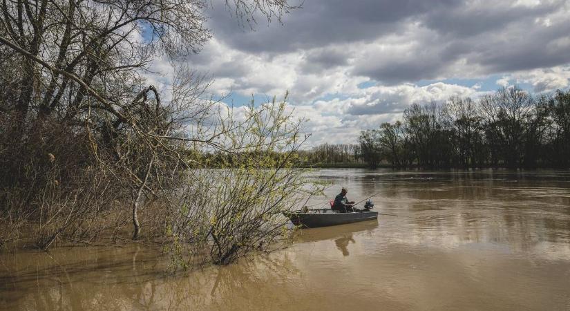 Halászni mentek a kutatók a Tisza-tóra, de amit a hálóban találtak, arra ők sem számítottak