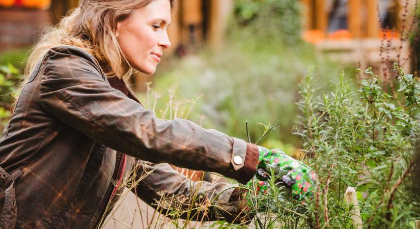 3 kerti munkálat, amit már februárban érdemes elvégezned