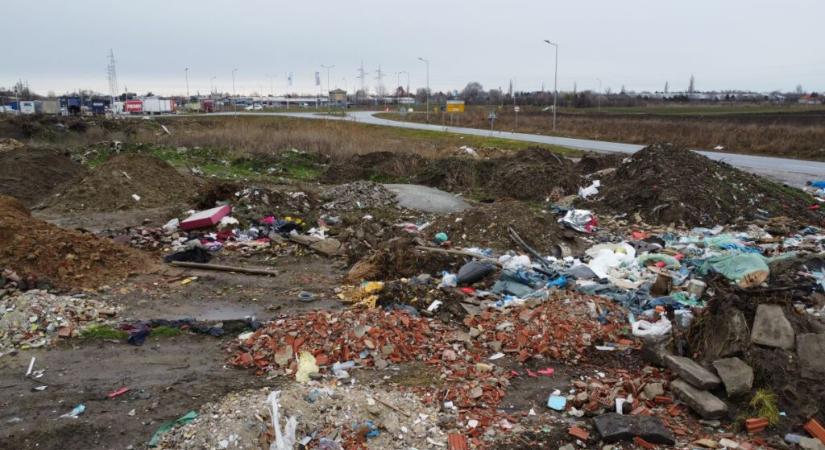 Szabadkát ellepi a szemét, az illetékesek pedig halottnak tettetik magukat