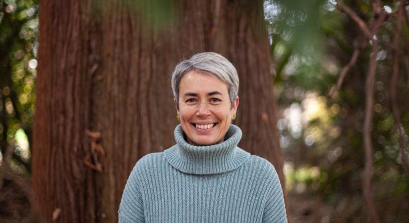 Életek a könyvek mögött