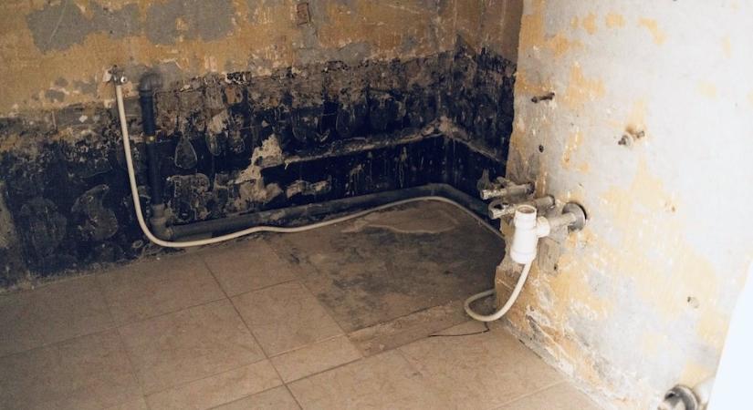 A polgármester úgy tudja, hogy távozott a győri lakáskasszát kezelő Győr-Szol Zrt. gazdasági igazgatója