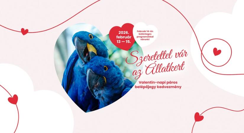 Valentin-nap – Programok és kedvezmények a Fővárosi Állatkertben