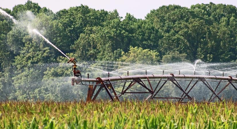 Európai Számvevőszék: zavaros és átláthatatlan a javasolt agrárpolitika