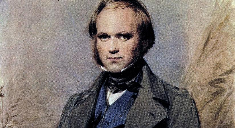 Darwin és a világ visszavarázsosítása