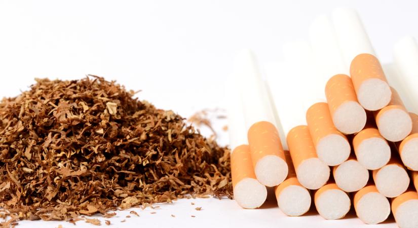 Meglepő felfedezés: a nikotin nemcsak káros, hanem gyógyító hatású is lehet