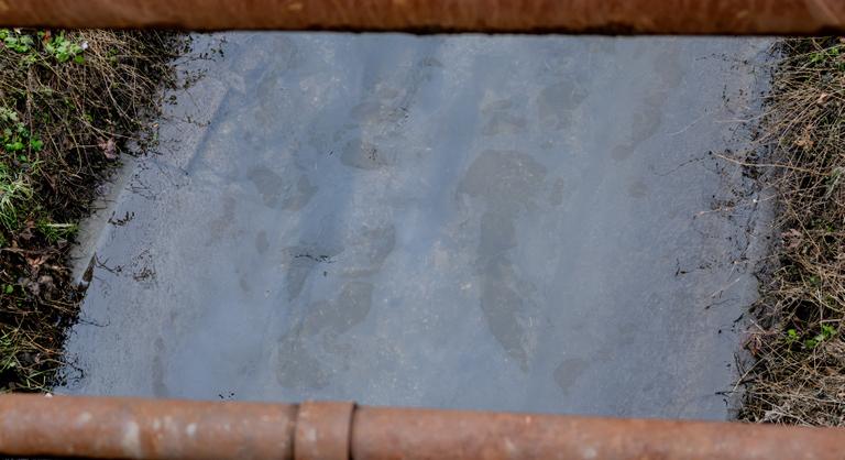 Megérkezett a vizsgálati eredmény a Rákos-patak olajszennyezéséről