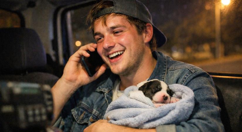 A komlói rendőrkapitányságot tessék kapcsolni, megszületett a kiskutyám!