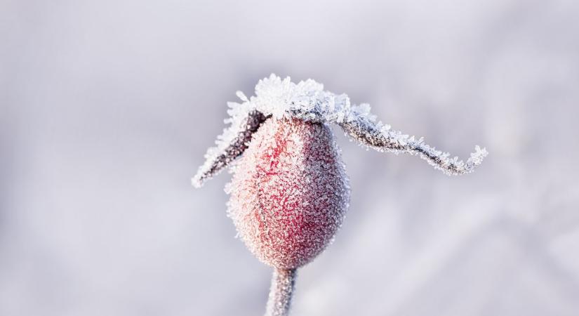 Rég nem láttunk ilyet: az átlagosnál hidegebb volt a 2026-os január