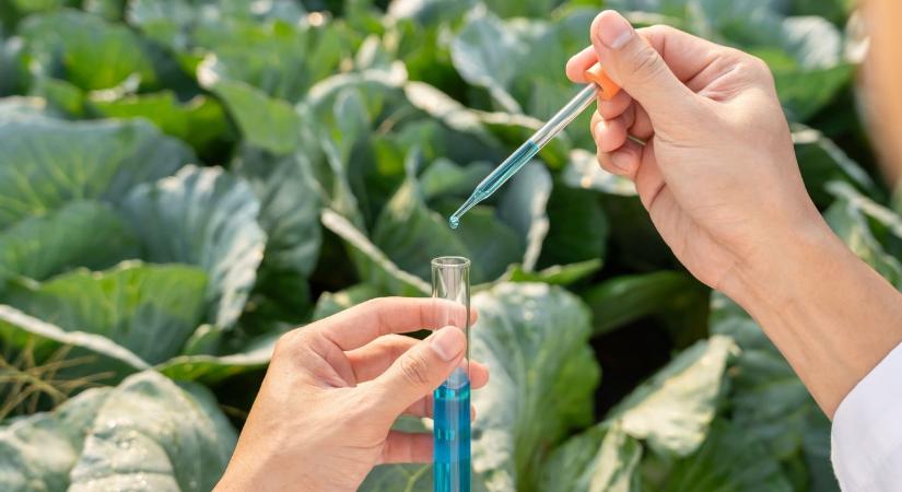 Hamis növényvédő szerrel permeteztél? Súlyos következménye lehet!