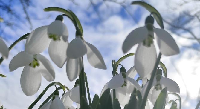 Ez az év eddigi legmelegebb napja