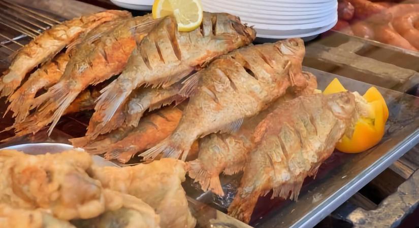 Halasnap 2026 Balatonakali