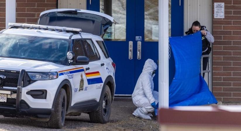 A transznemű elkövető…