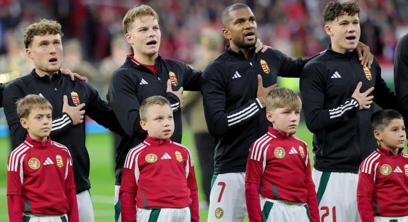 A bosnyákok és a románok voltak a legnépszerűbbek – olvasóink ebbe az NL-csoportba várják a válogatottat