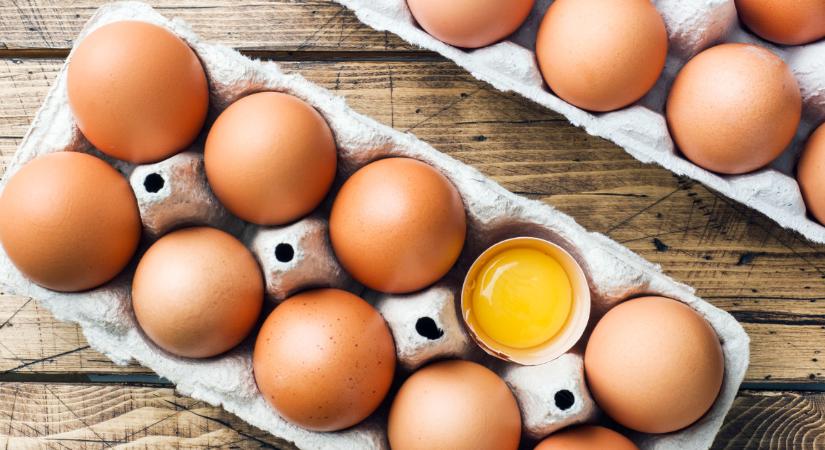 A tojást a hegyes végével felfelé, vagy lefelé kell elrakni? Fogadjunk, hogy te is rosszul tudod