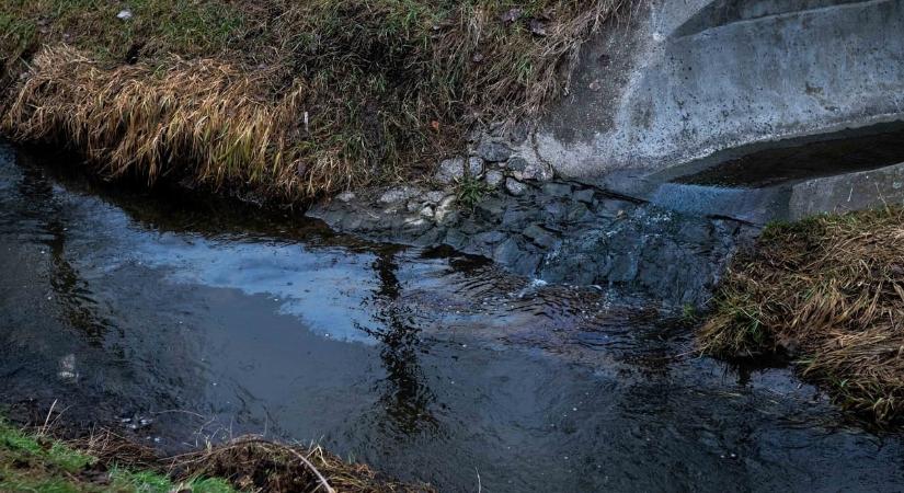 Kiderült, mennyire súlyos a Rákos-patak olajszennyezése