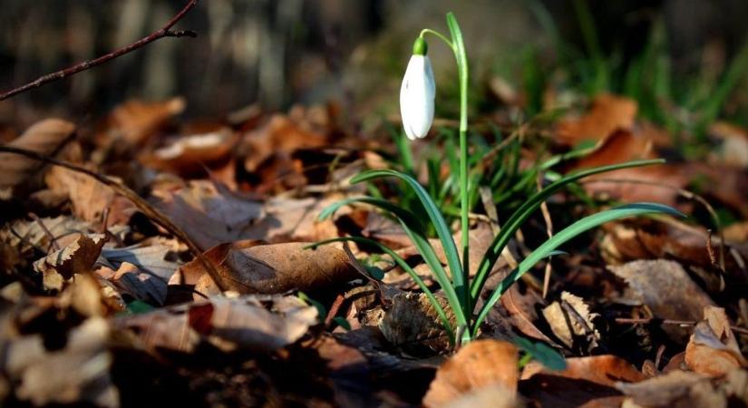 Szél, eső, napsütés – rövid idő leforgása alatt bármit hozhat az időjárás