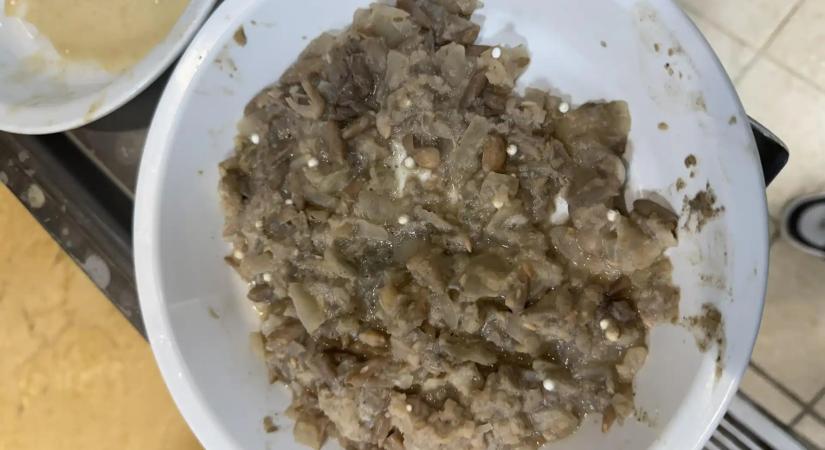 Vizsgálatot indított a Nébih, mert az ország több menzáján is hungarocellel kevert sóval főztek