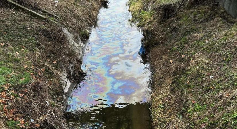 Kiderült, mennyire súlyos a Rákos-patakot ért olajszennyezés