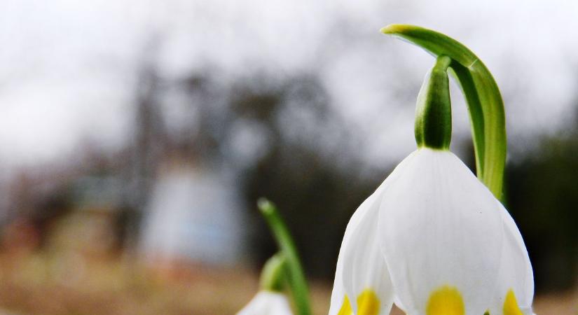 Kora tavaszias időjárás vár ránk – eleinte