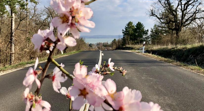 Március 15-i ünnepi megemlékezés 2026 Balatonakali