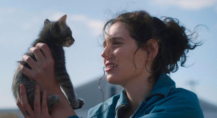 Mától otthonról nézheted: A 2025 sötét humorú drámai vígjáték a mozik után streamingre is megérkezett