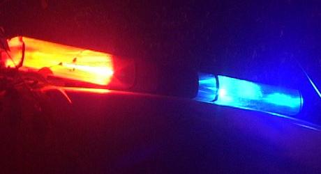 Őrizetben egy görgetegi testvérpár