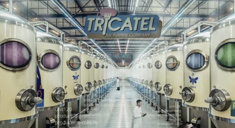 „Mi lenne, ha a mezőgazdaságot a jövőben a város alá rejtenék – és szennyvízzel működtetnék?” VIDEÓ