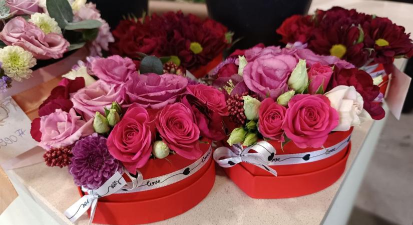 Nem csak rózsa hódít: meglepő kedvencek a kecskeméti Valentin-napi kínálatban – fotók