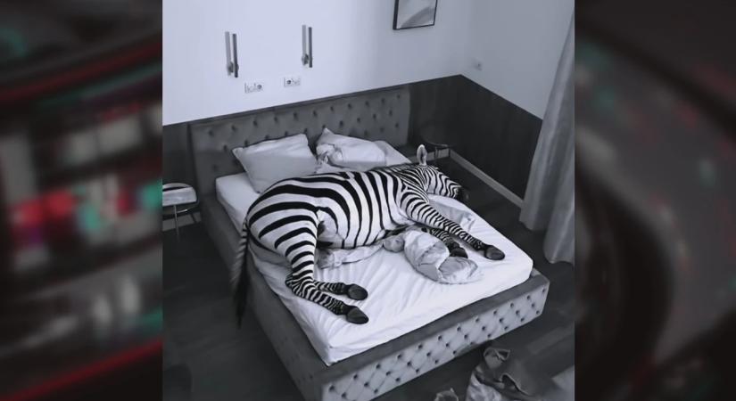 Volt barátnőjével szexelt, ez lehet a titokzatos felvételen - Magyar Péter szerint tőrbe csalták