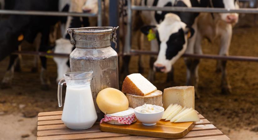 Újraindul a kisüzemek beruházási támogatása