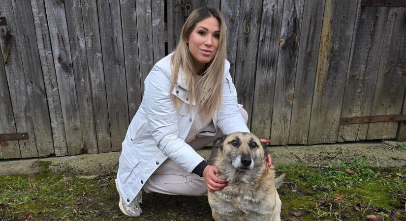 Megérkezett a négylábúak Tindere? Megnéztük, mi is ez pontosan!