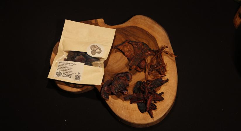 Fedezze fel a jövő megoldásait a Startup szigeten! (3. rész)