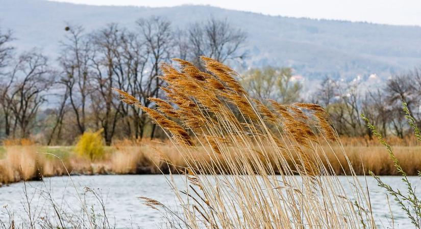 Az időjárás csúnyán belerondíthat a hétvégi programokba, figyelmeztetést is kiadtak Vas megyére