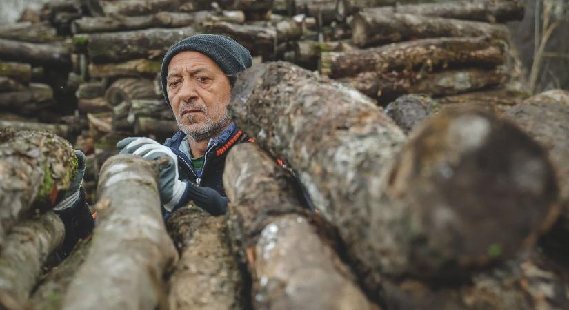 Közös munka lett az extra szociális tűzifából