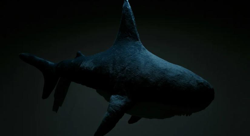 Megdöbbentő régészeti leletet találtak az ősemberek szokásairól