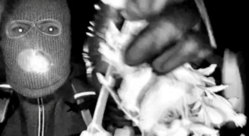 Símaszkos férfi, vérnyomok az ajtónál, váltságdíjlevél – másfél hete tartja lázban Amerikát az ismert műsorvezető anyjának elrablása