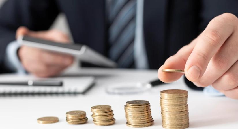 Elfogadták a hódmezővásárhelyi önkormányzat költségvetését