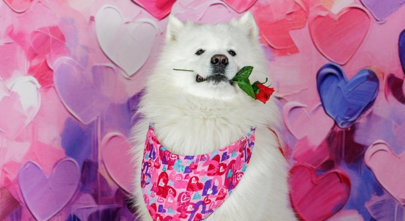 15 last minute Valentin-napi ajándékötlet