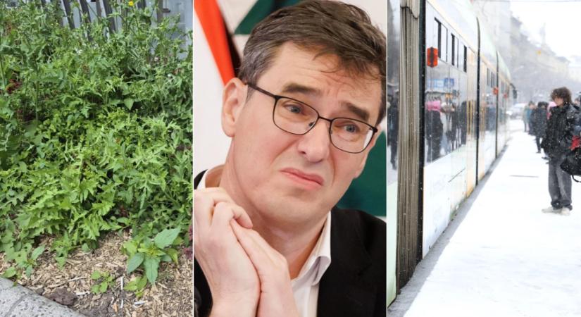 Télen esik a hó, nyáron nő a gaz és még alpolgármesterre is szükség van - öt dolog, ami meglepte Karácsony Gergelyt