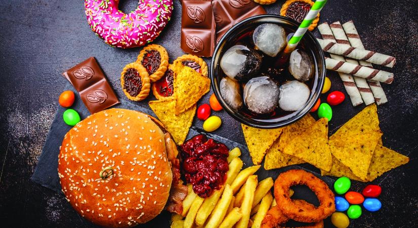 Az elhízás és a klímaválság közös gyökerről fakadnak?