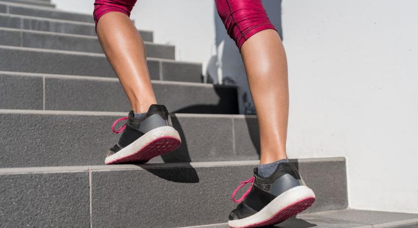 Miért hívják a vádlit a második szívnek?