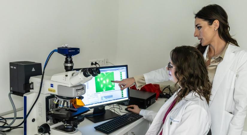 Hormonok a tányéron: debreceni kutatás a Richter Anna Díj döntőjében