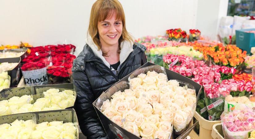 Hatalmas virágözön a győrieknek: minek örülnél a legjobban Valentin-napon?