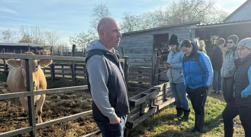 Hobbitanyából prémium tenyészet – a Blonde Tanyán nem a mennyiség, hanem a genetika a jelszó